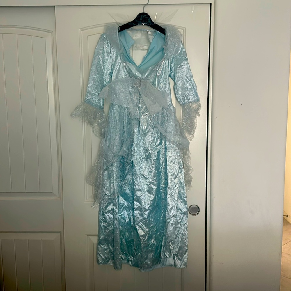 Halloween Cinderella fairy Godmother costume